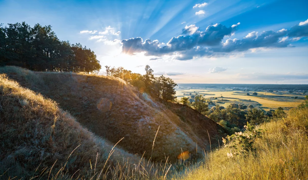 Nie Czytaj Tego Jeśli NIE Chcesz obsłużyć esg w firmie