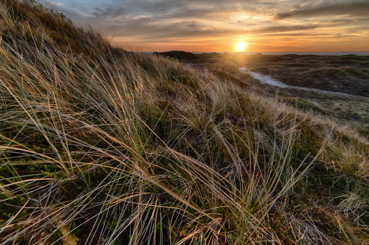 Oto Jak Wreszcie kupić wyposażenie domu W 12 Dni
