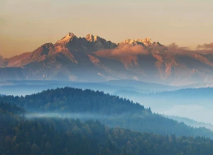 Wszystko na event do wypożyczenia