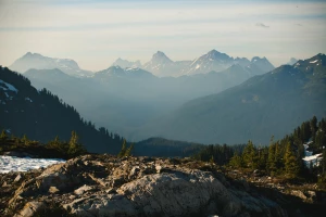Czy opłaca się uprawiać sport?